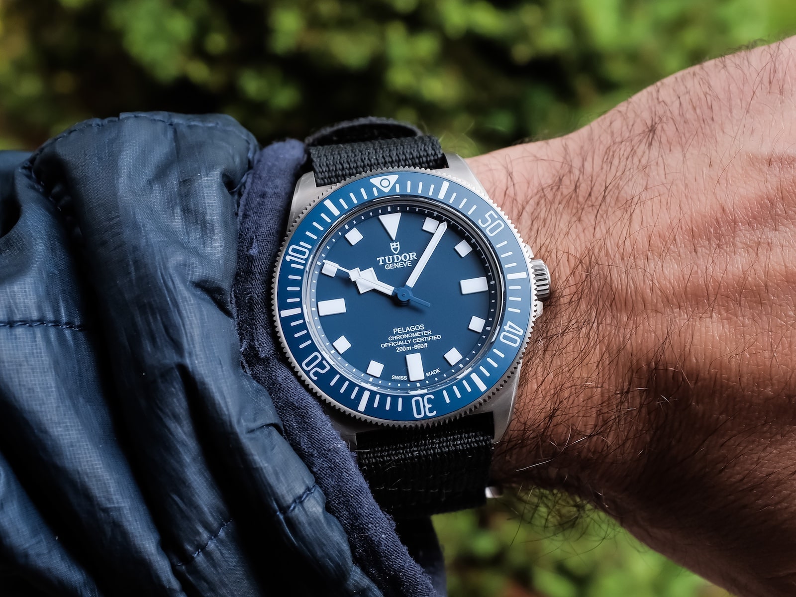 Beyond the Starter Diver: A Guide to Thoughtful Upgrades