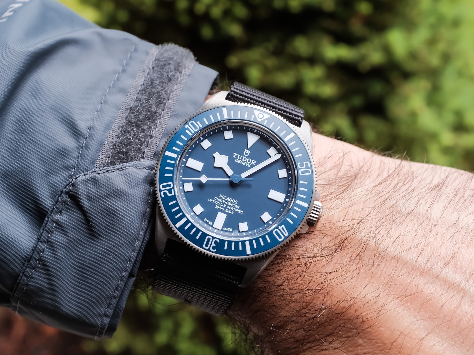 Beyond the Starter Diver: A Guide to Thoughtful Upgrades official image 6